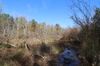1241 Reynolds Farm Rd photo